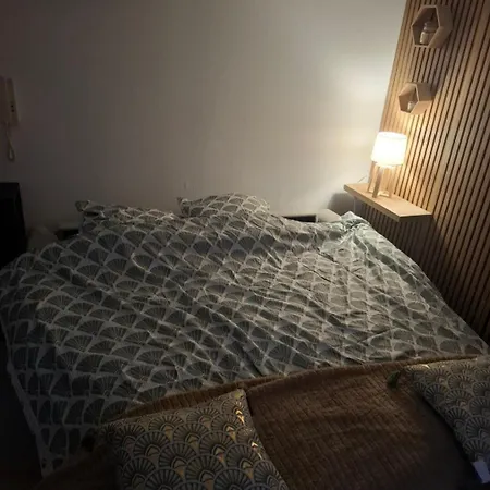 Charmant Studio Thionville Apartmán Thionville