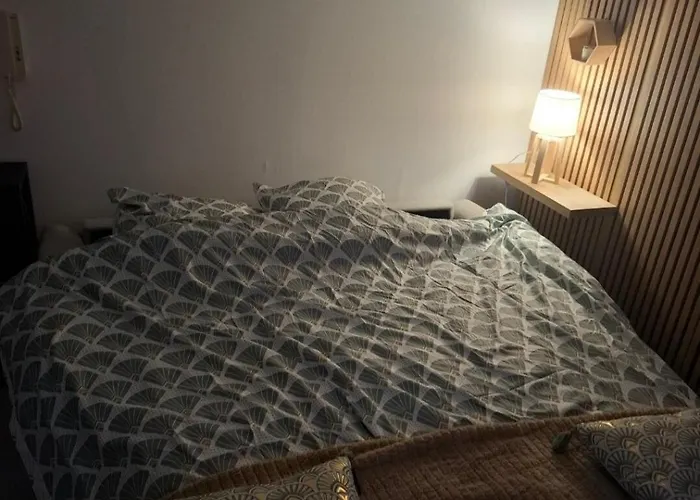 Charmant Studio Thionville Apartmán Thionville